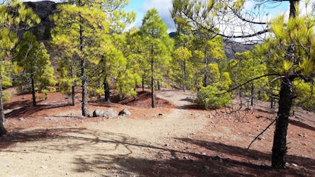 Summit of Gran Canaria Hiking Private Tour